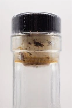 Brimstone 11 Brimstone -Waterford Verkäufe dsc09350