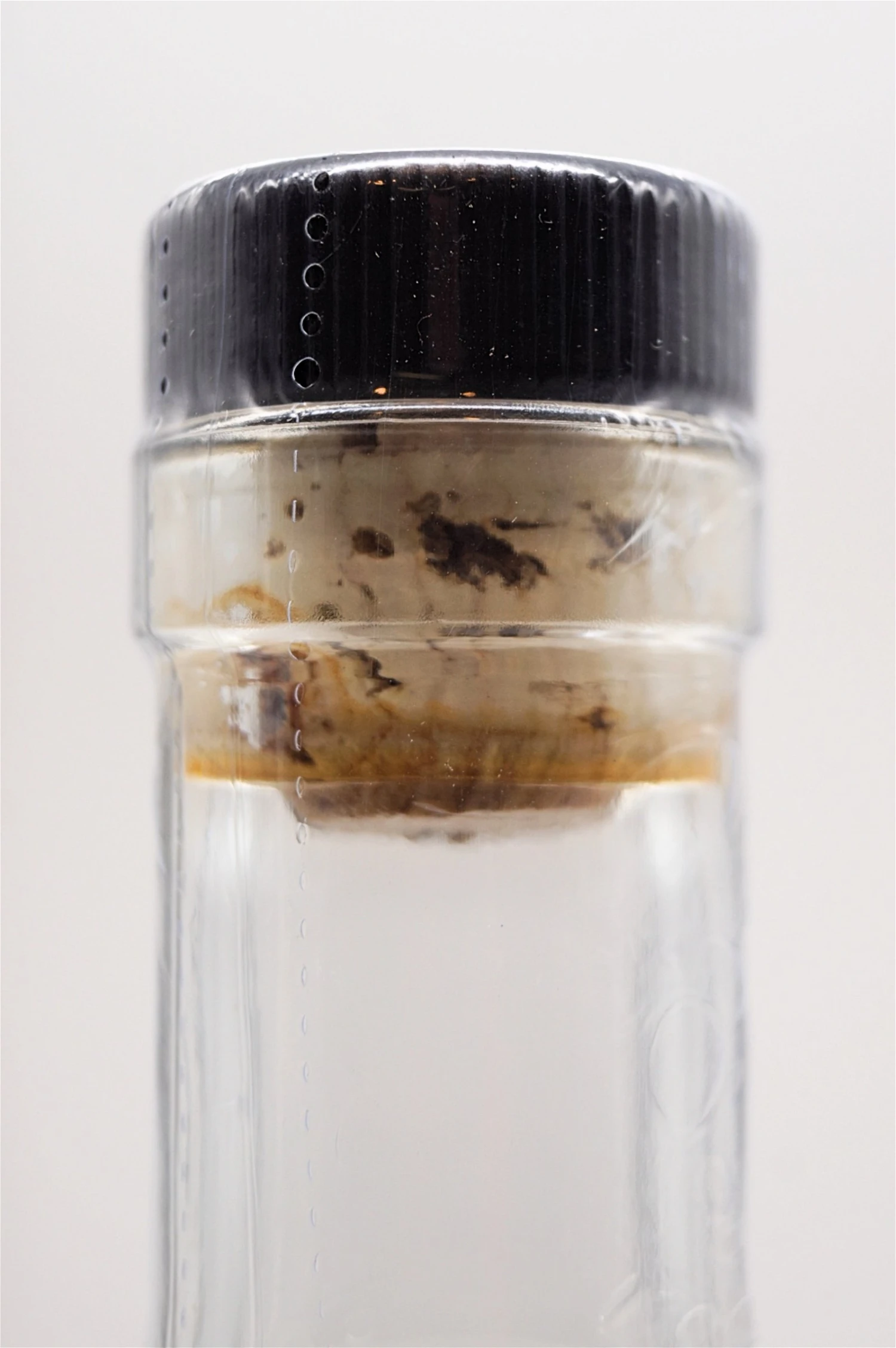 Brimstone 7 Brimstone – Bild 5